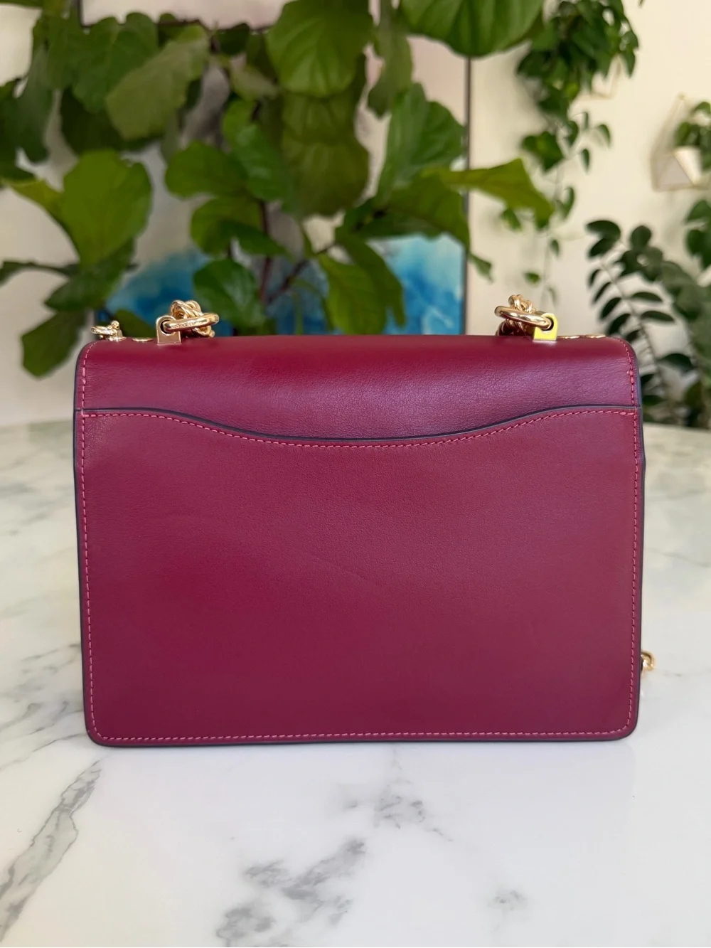 Coach Klare Crossbody Bag In Signature Canvas With Cherry Print CY689 Gold Tan